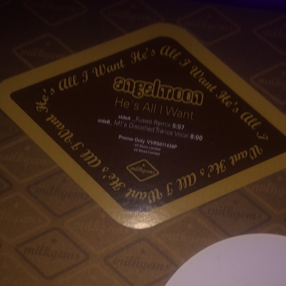 He’s All I Want LP Angel Moon 12” Vinyl House VG++ - Picture 2 of 3